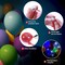 50pcs LED Balloon Lights,Mini Balls Lights,Long Standby Time Party Lamps,Waterproof Led Light for Paper Lantern Halloween Christmas Birthday Party Decoration White